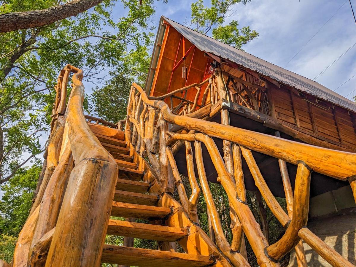 Wooden Cabana Sigirîya Extérieur photo