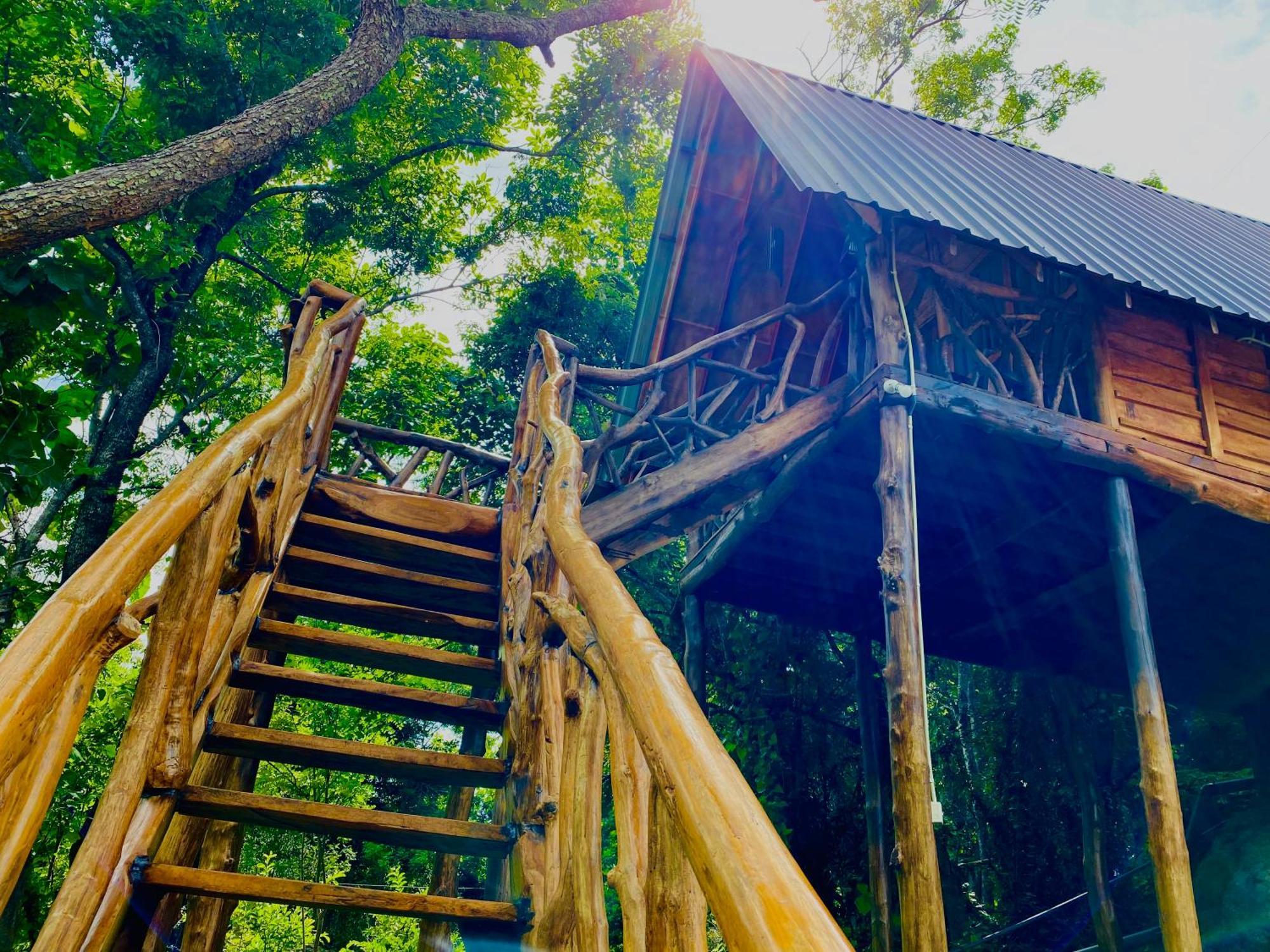 Wooden Cabana Sigirîya Extérieur photo